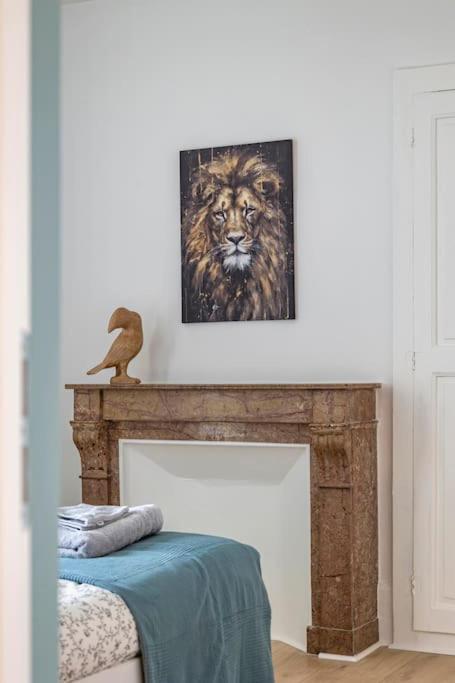 Lion King Appart 65 M2 Tout Inclus Chalon-sur-Saône Εξωτερικό φωτογραφία